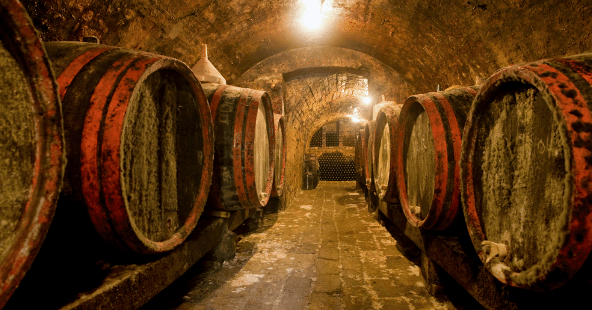 wine barrels